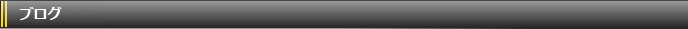 ブログ