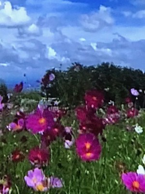 A534EB03-8D6E-4CD1-99A7-897AA129A213