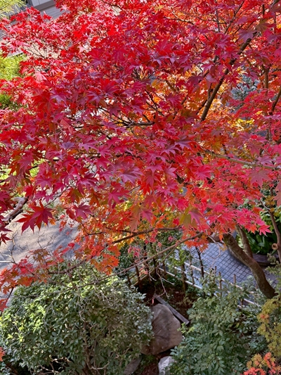 A06BDFFF-9E1C-4ABB-8AB6-0205A055A83F