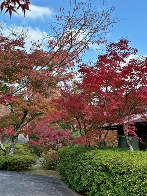 A9E41074-554C-40C0-85AF-BDD337FE176A