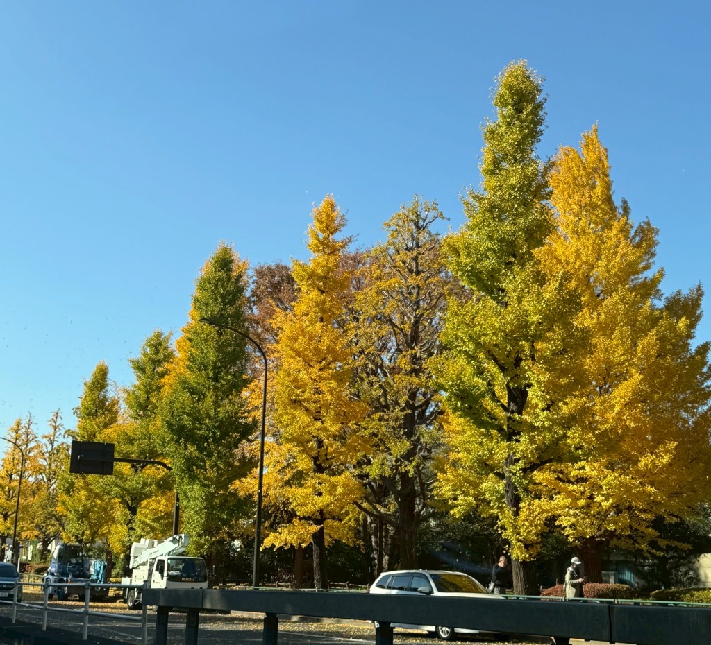 329F5642-10A0-4C77-AB6D-818F60765C7D