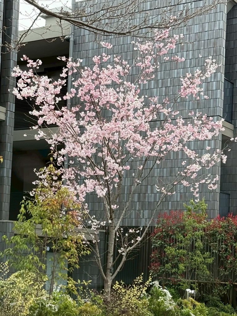 89887261-1D5C-4819-84B6-9C492BB3FFF2