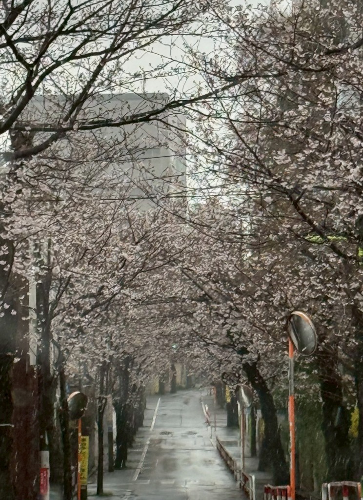 C4813559-BA16-4A4A-9439-DF2F478624F8