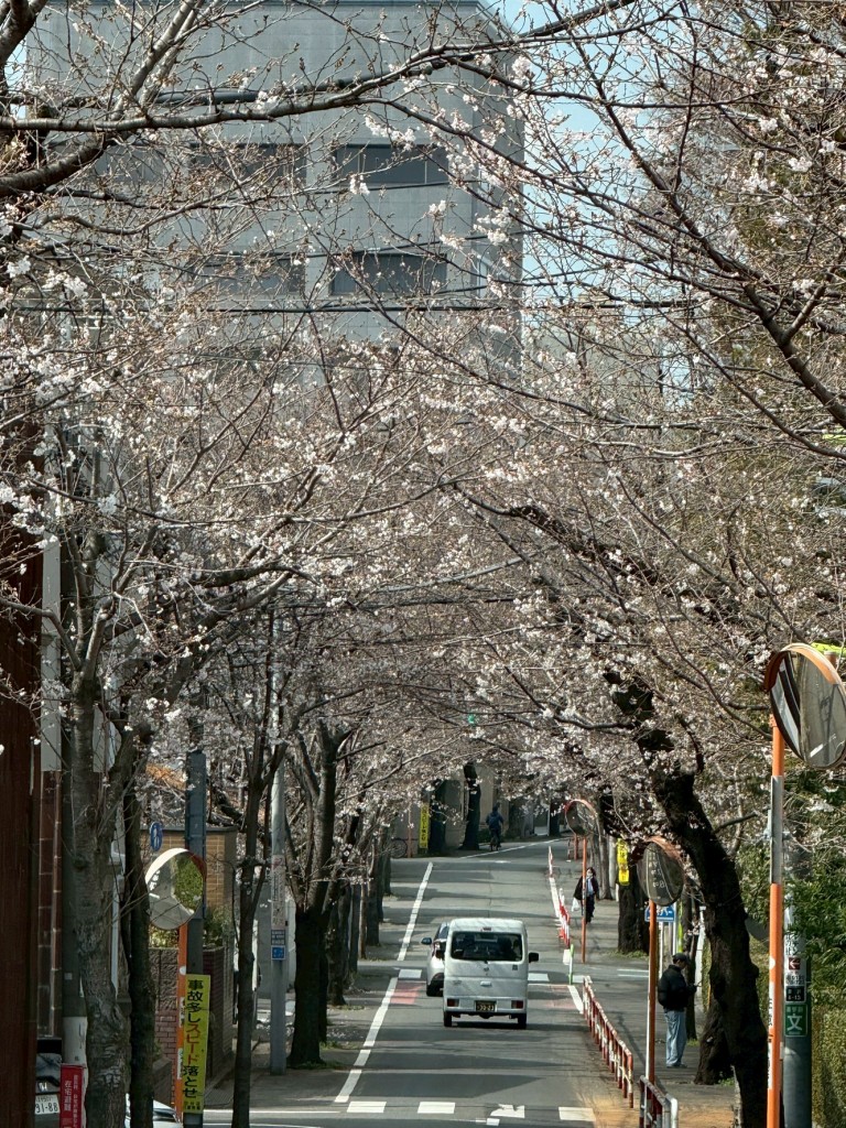 CA80C116-C15E-4709-914D-C0D7A0C8FA17