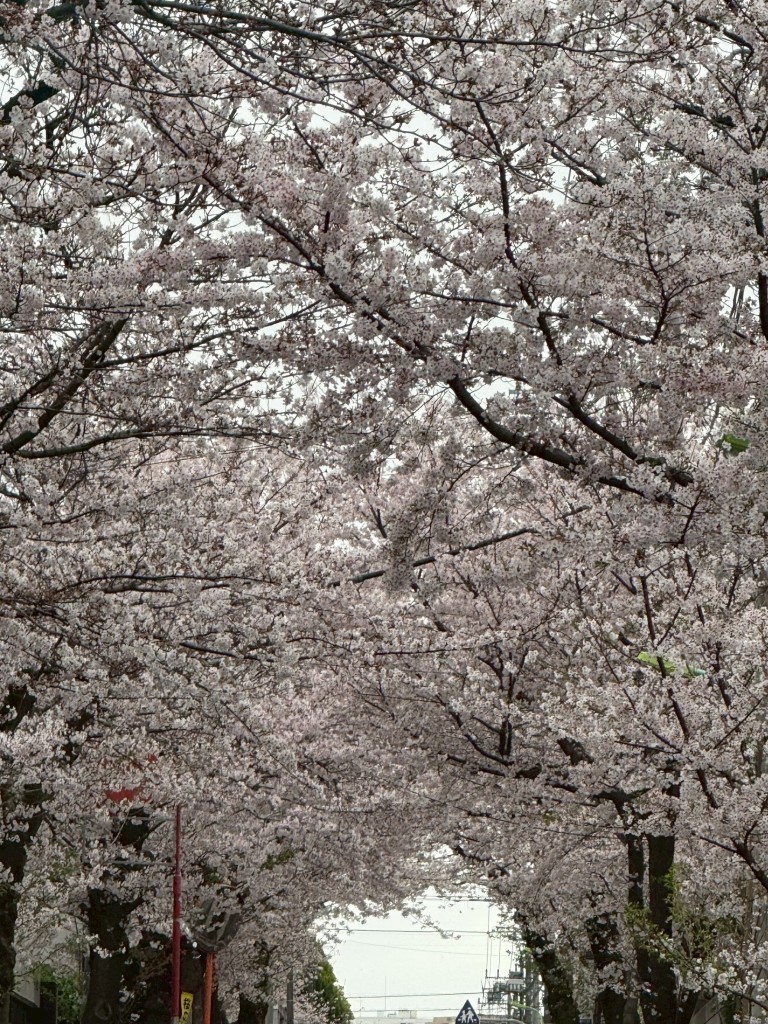 CFA75C61-FF01-44ED-8767-16D67095E85F