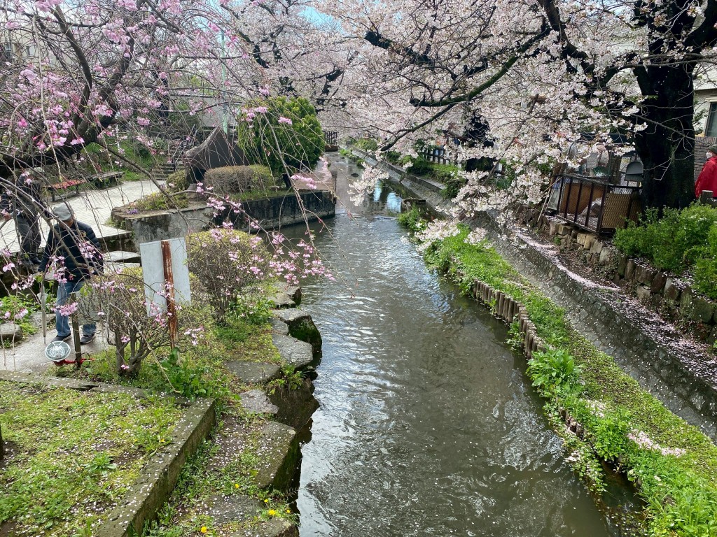 1A13D331-702B-418C-B667-680C705CB8FE