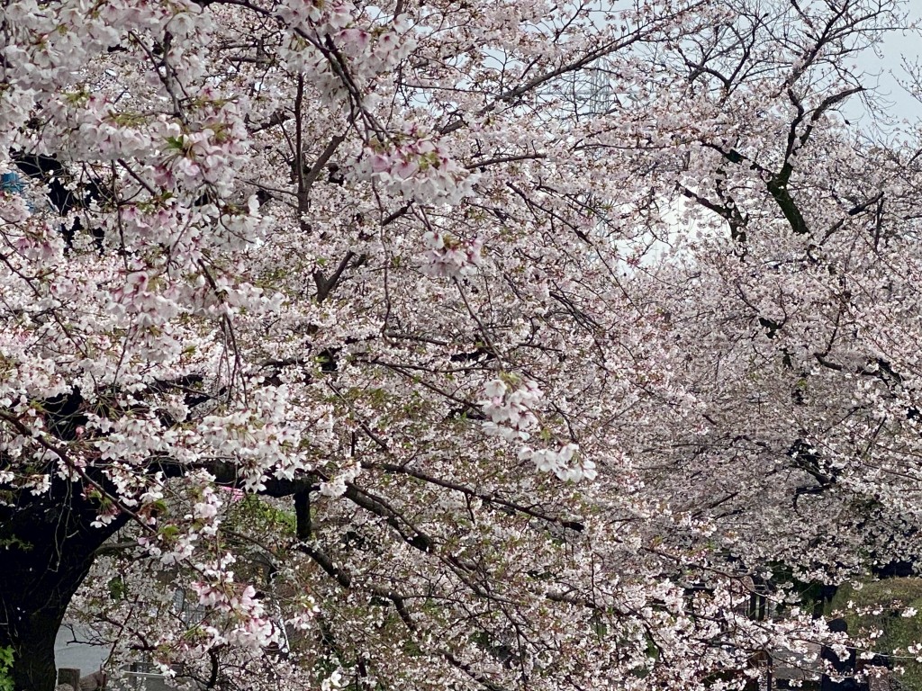 1F1E3C6C-421C-4212-8BCF-D6C00D53F486