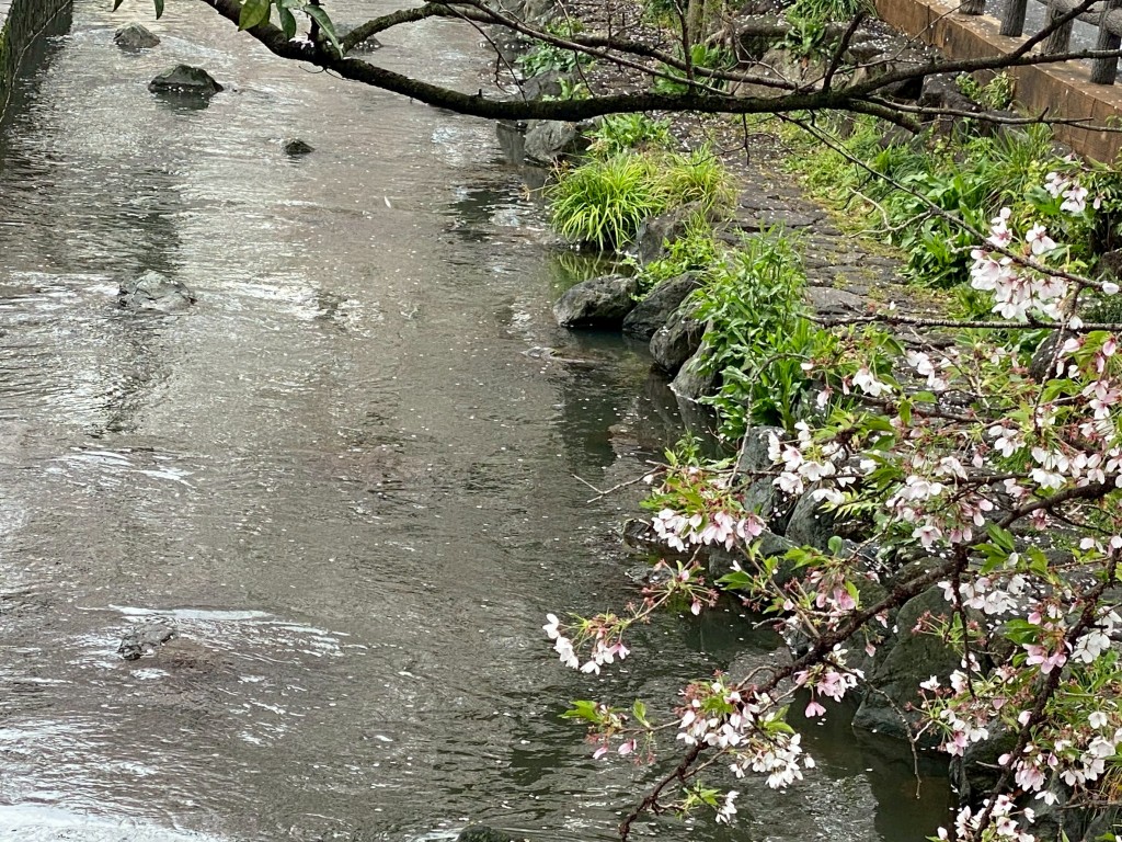 1FEEC1FB-2D2E-42E1-B236-17695E6B858F