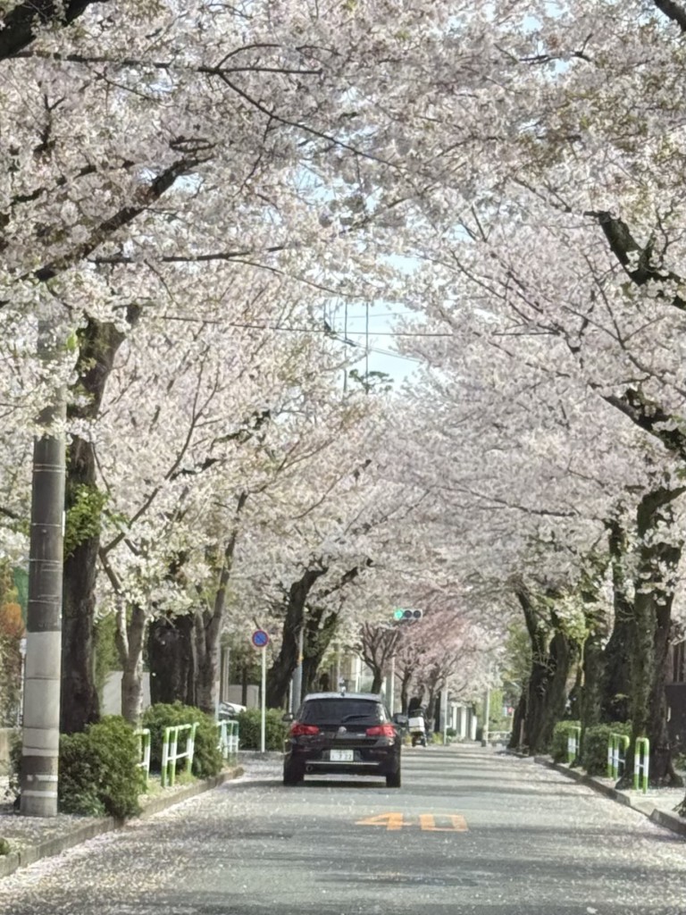 78DE7CFD-4309-4F7A-B398-A09861153B7E