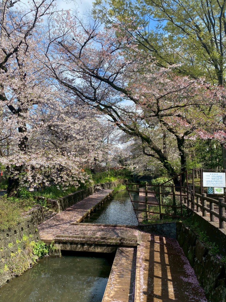 9A8FA7A0-AF6B-47DD-9A38-E1C63034A2AB