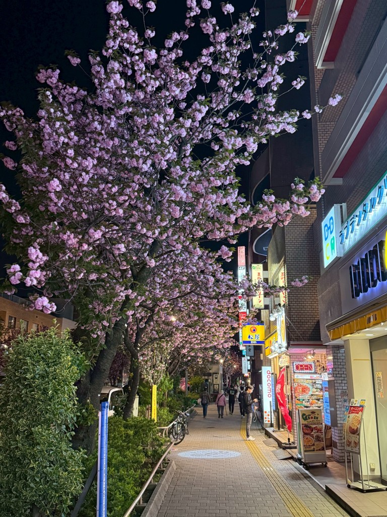 B1874568-D677-4AFA-ADD9-4E5F44B711B2-2