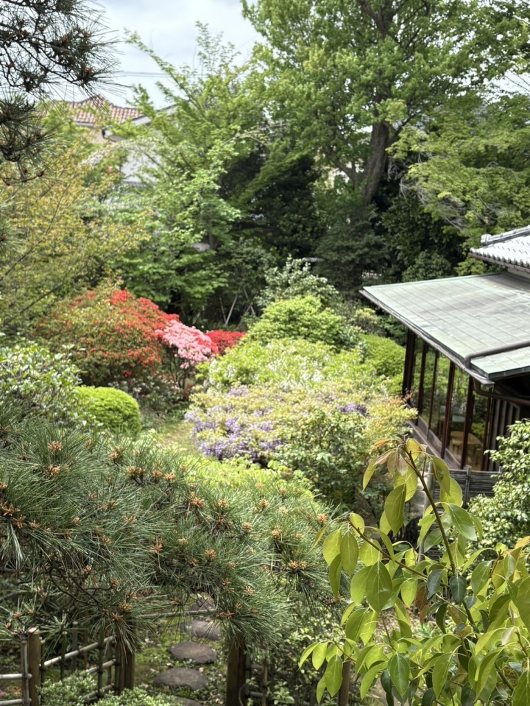 B3DC8674-076D-45D3-BB72-5A26A45A5C4E