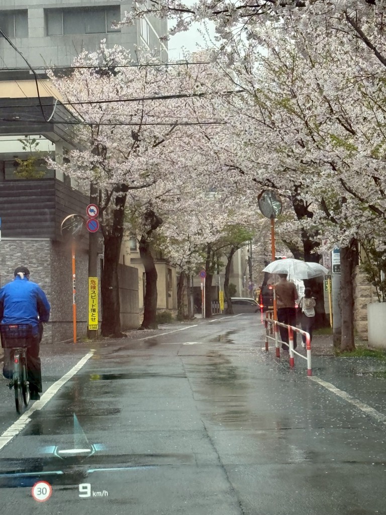 D849E28E-5C6A-4DE8-A31C-A89A2A795D35