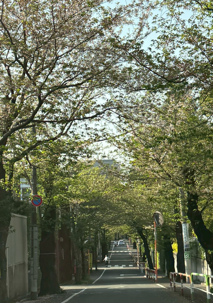 E5500055-51A5-4DA8-B641-FBD9F4471EE0