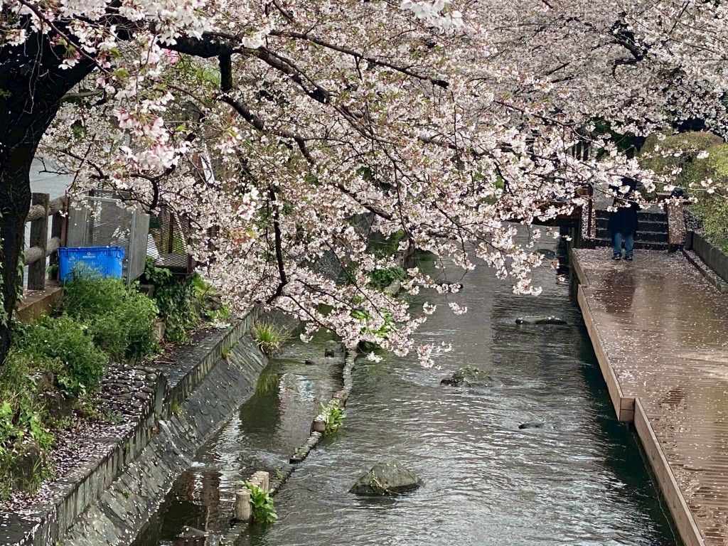 F1FA9546-5EAE-4130-9514-8EF079714E74